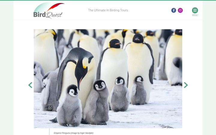 Screenshot von birdquest-tours.com