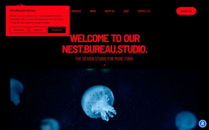 Screenshot of birdseinstudio.de