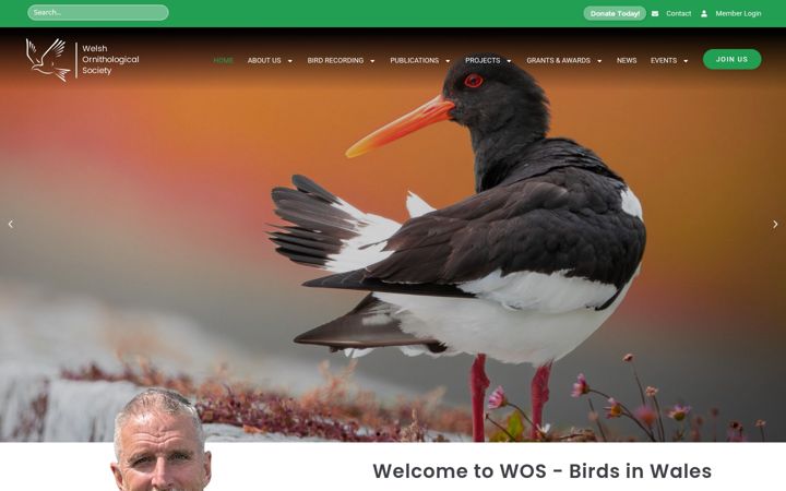 Screenshot of birdsin.wales