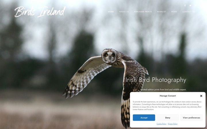 Capture d'écran de birdsireland.com