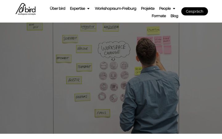Ekrano kopija birdworkspace.de