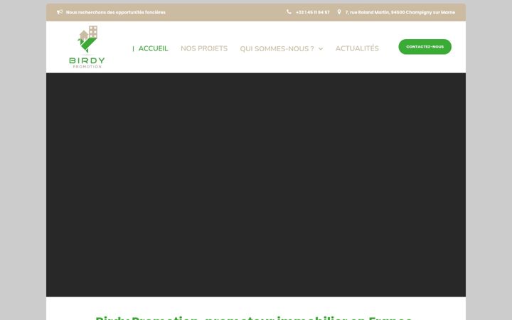 Screenshot του birdypromotion.com