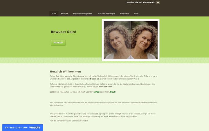 Screenshot of birgit-krause.de