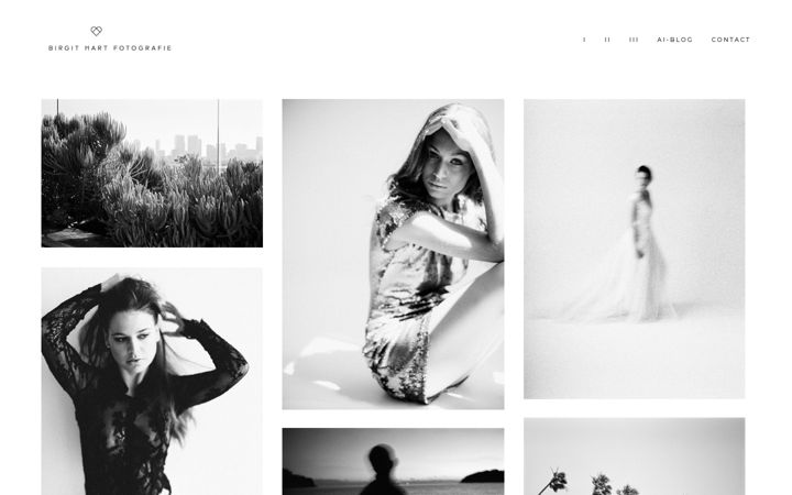 Skærmbillede af birgithart.com