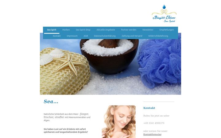 Screenshot of birgitt-ehlers.com