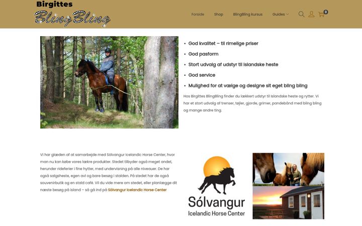 Captura de pantalla de birgittesblingbling.com