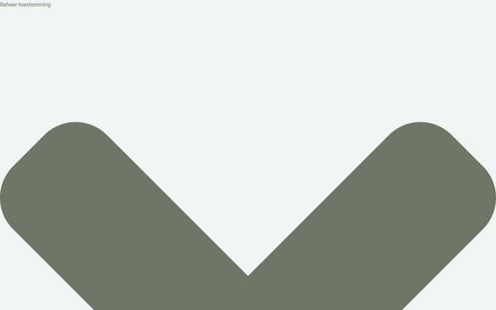 Screenshot of birgittmerchez.be