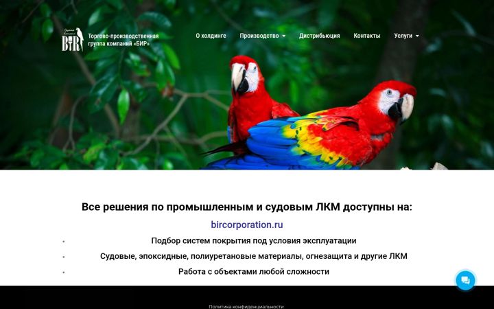 Zrzut ekranu birgroup.ru