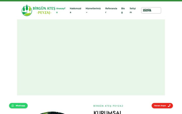 Skjámynd af birgunatespeyzaj.com