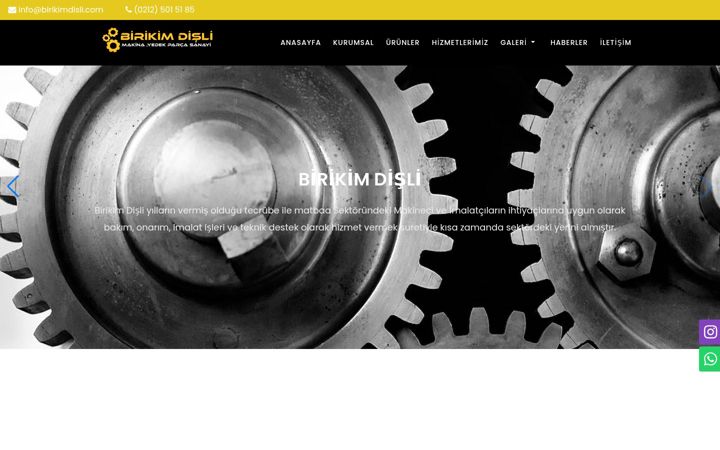 Screenshot of birikimdisli.com
