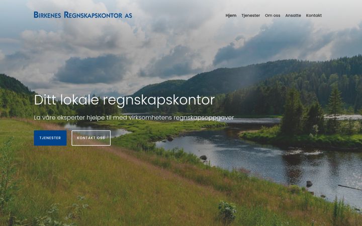 Screenshot of birkenes-regnskap.no