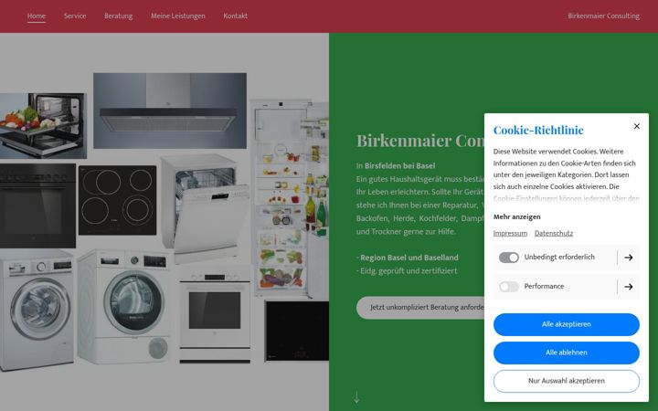 Screenshot of birkenmaier-consulting.ch