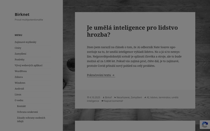 Screenshot of birknet.eu