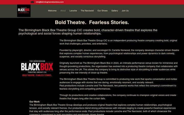 Screenshot of birminghamblackbox.com