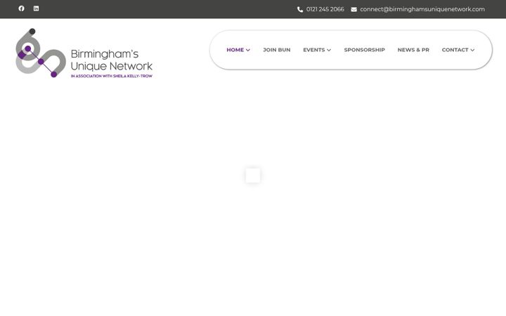 Screenshot of birminghamsuniquenetwork.com