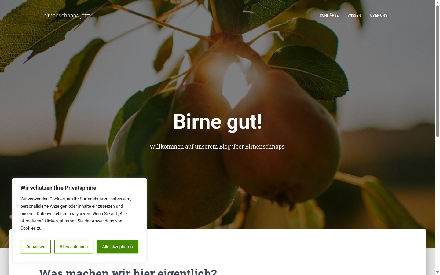 Screenshot des Einwilligungsbanners vor jeglicher Interaktion
