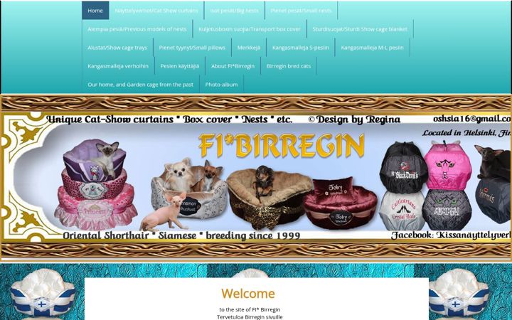 Screenshot of birregin.com