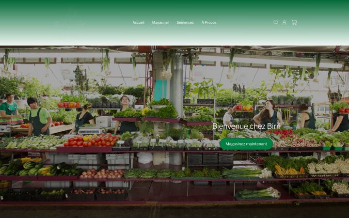 Screenshot of birri.ca