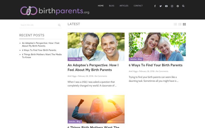 Screenshot of birthparents.org