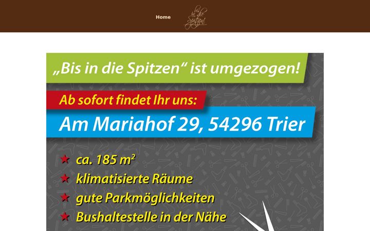 Screenshot of bis-in-die-spitzen.de