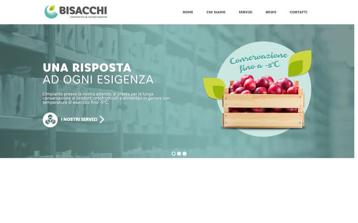 Screenshot of bisacchisnc.it