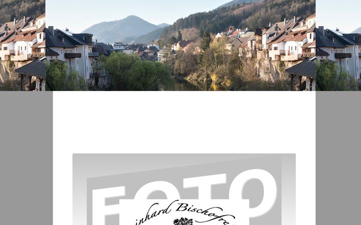 Screenshot van bischofreiter.at