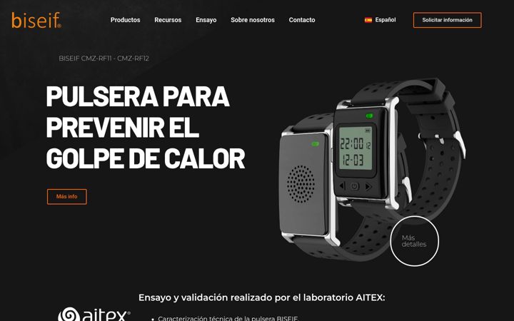 Screenshot of biseif.com