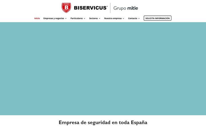 Zrzut ekranu biservicus.com