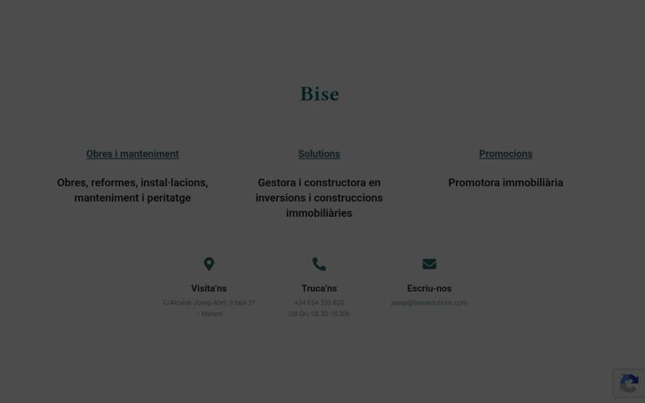 Screenshot of bisesolutions.com