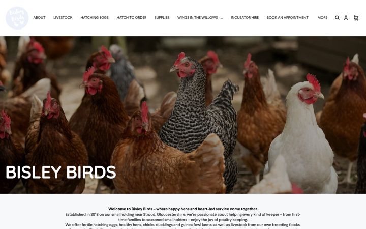 Screenshot of bisleybirds.com