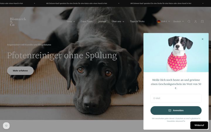 Screenshot of bismarckandco.at