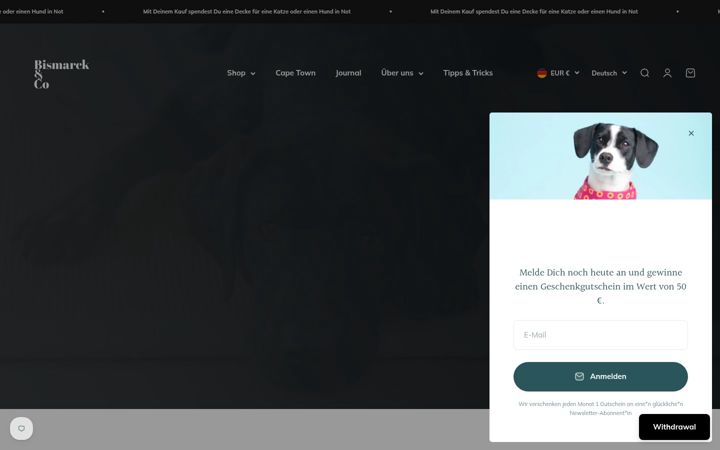 Screenshot of bismarckandco.de