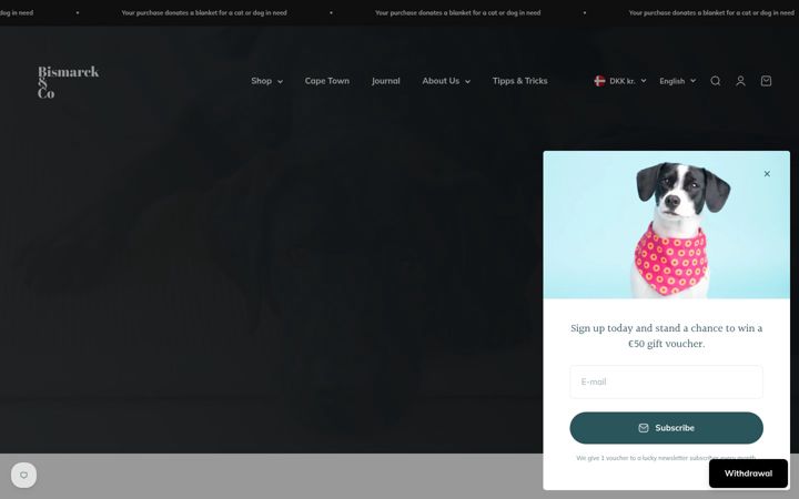 Screenshot of bismarckandco.fr