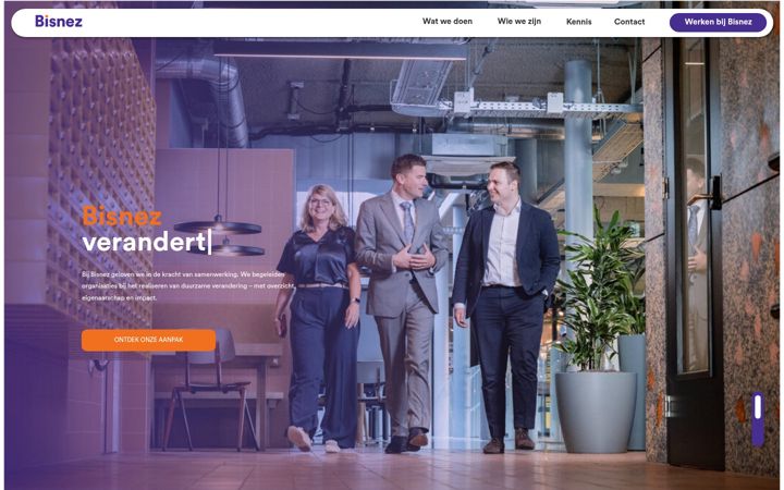 Screenshot of bisnez.com
