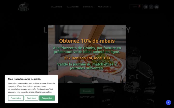 Captură de ecran a bisonsgranby.com