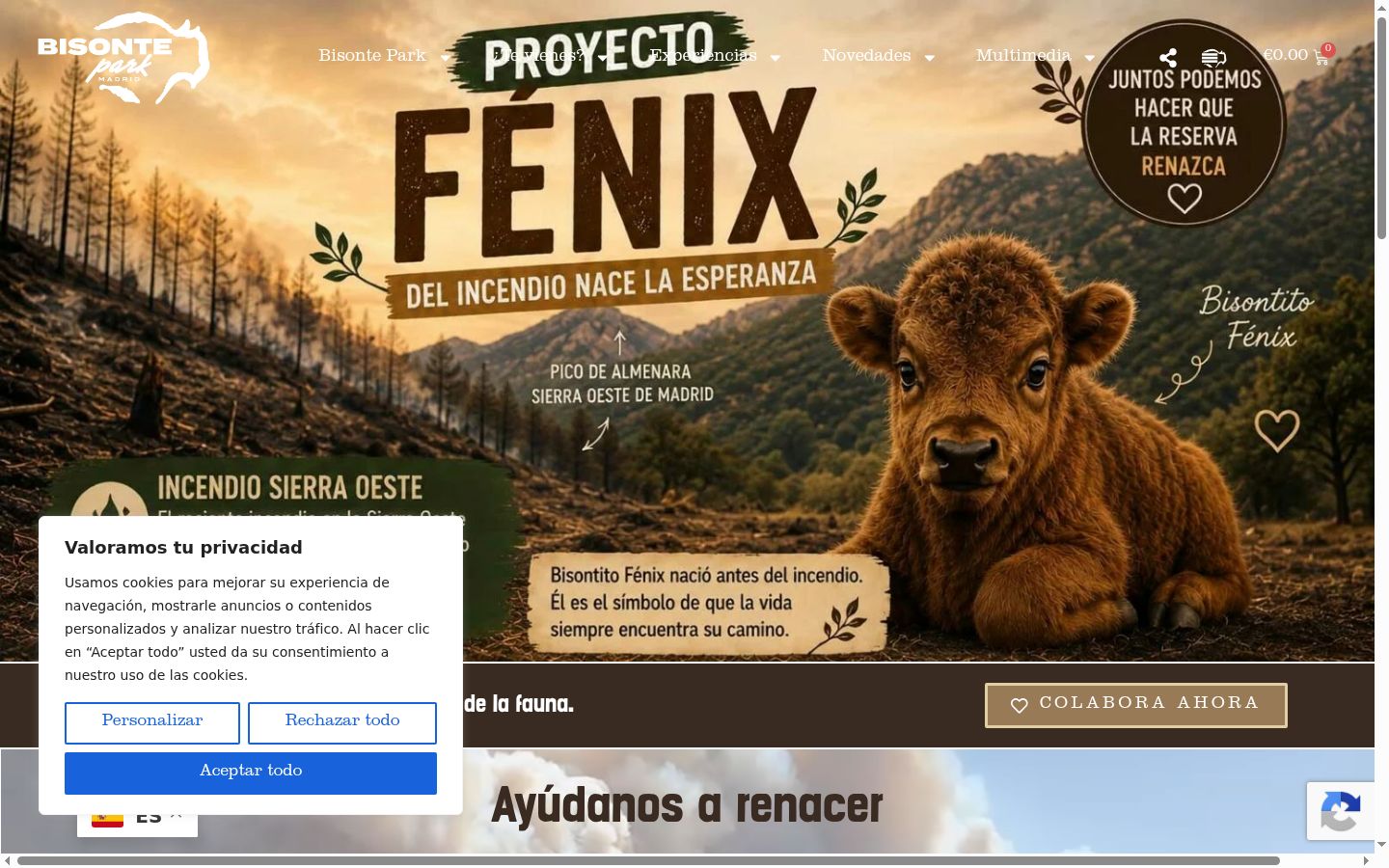 Screenshot του banner συγκατάθεσης που εμφανίστηκε πριν από οποιαδήποτε αλληλεπίδραση