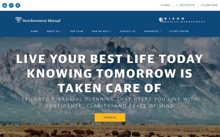 Screenshot of bisonwealth.nm.com