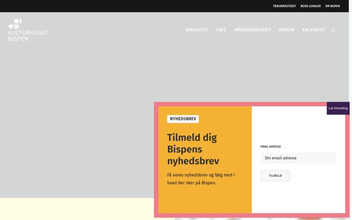 Screenshot of bispen.dk