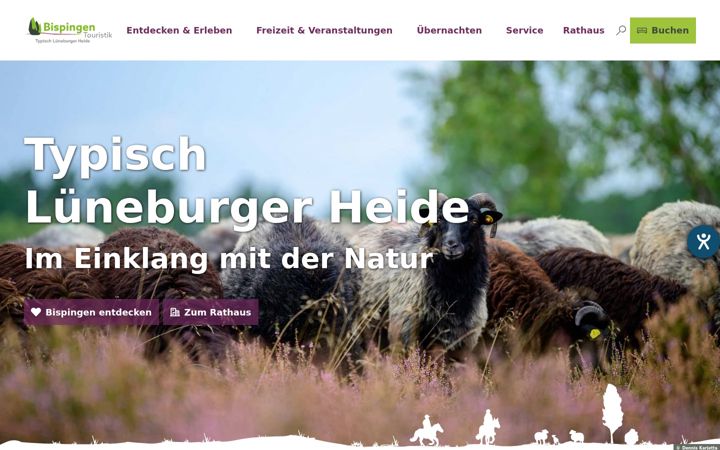 Screenshot of bispingen.de