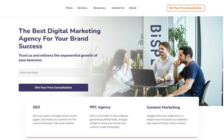 Screenshot of bisplex.com