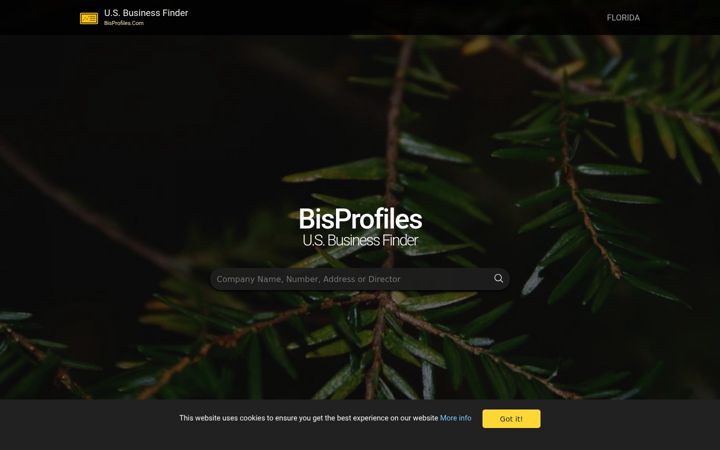 Screenshot von bisprofiles.com