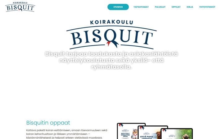 Screenshot του bisquit.fi