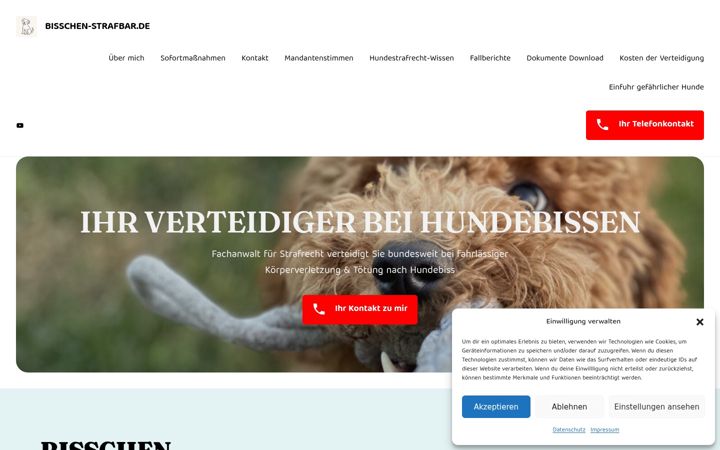 Screenshot of bisschen-strafbar.de