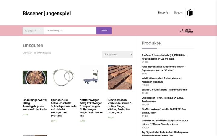 Screenshot of bissener-jungenspiel.de