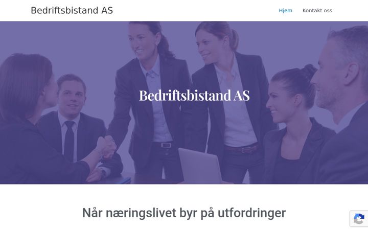 Screenshot of bistand.as
