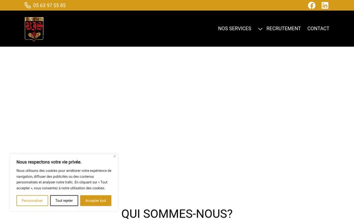 Screenshot of bistransports.com
