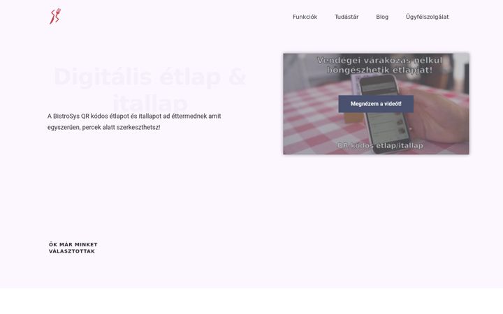 Screenshot of bistrosys.hu