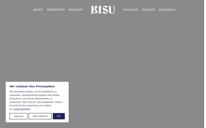 Skærmbillede af bisu-workshop.de