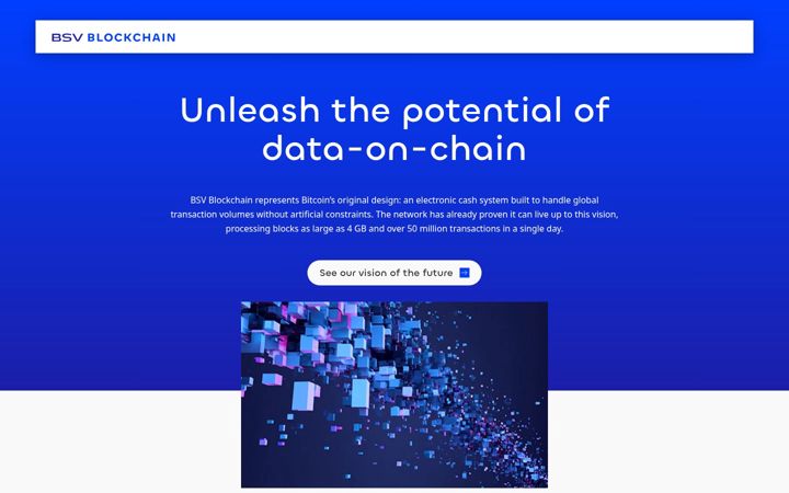 Screenshot of bitcoinsv.com