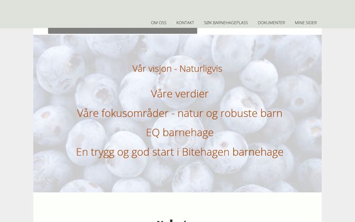 Screenshot of bitehagen.no
